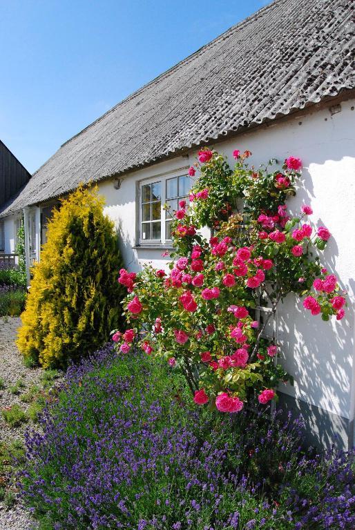 Sodergarda Ostra Bed & Breakfast Hammenhog Екстер'єр фото